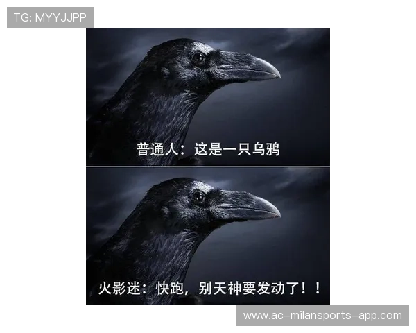 乌鸦攻防两端均衡，赢下分区关键战，乌鸦打法